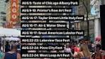 chicago street fests