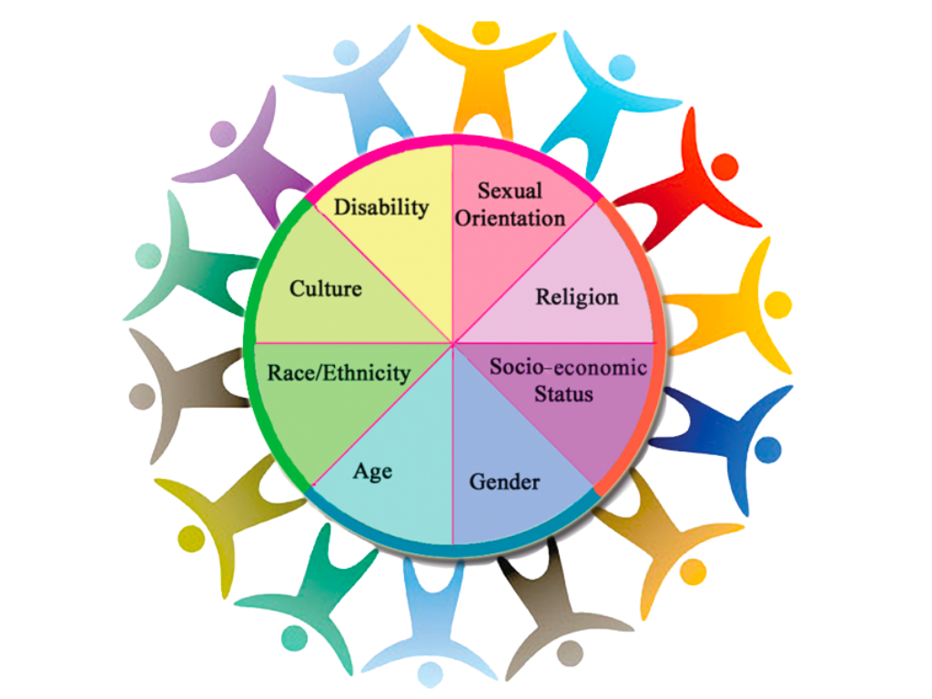 diversity of culture meaning