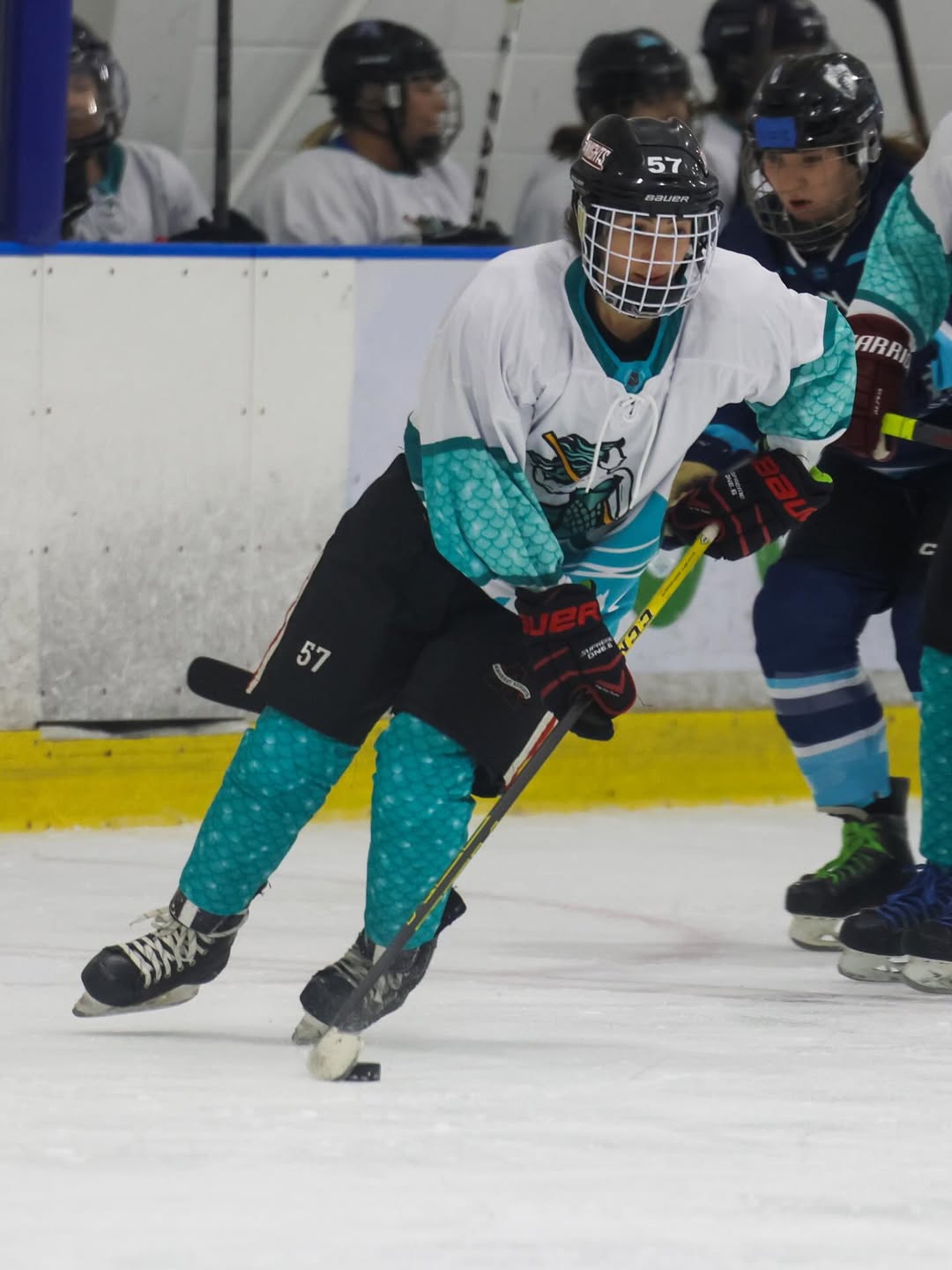 hertz arena schedule