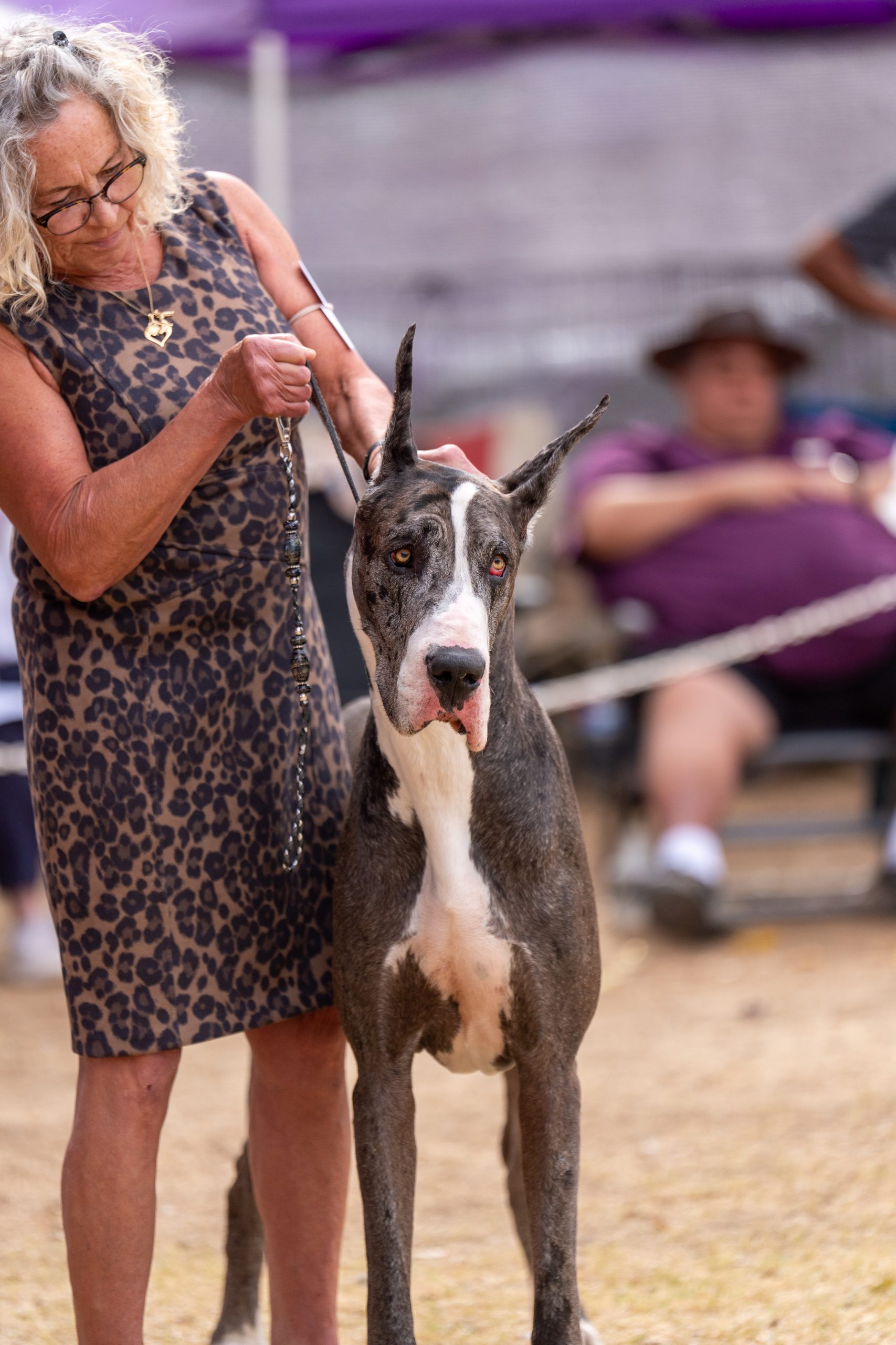 akc event calendar