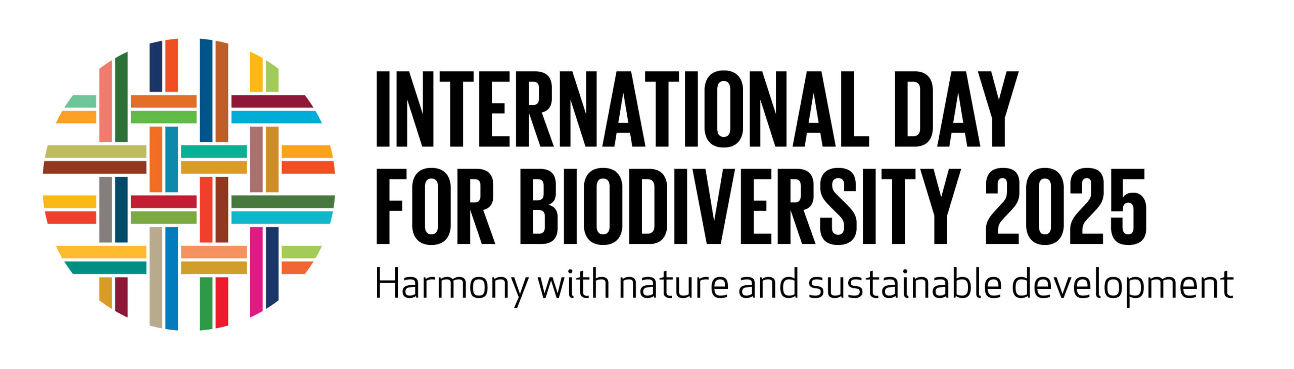 world diversity day