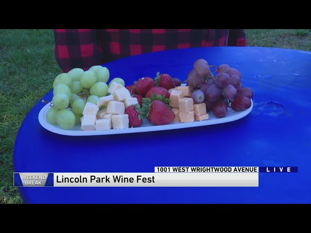 lincoln park wine fest