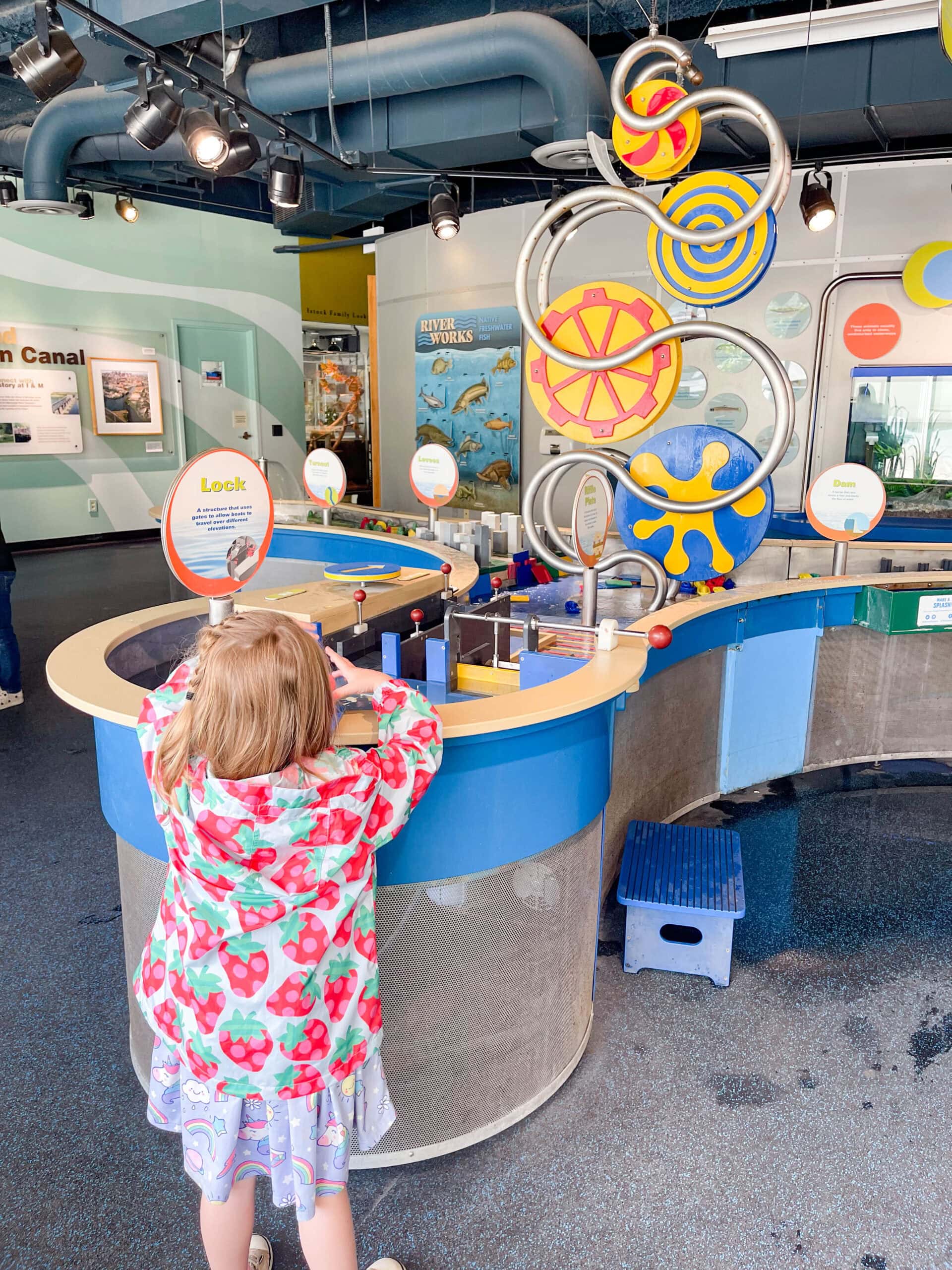 things to do in chicago with family