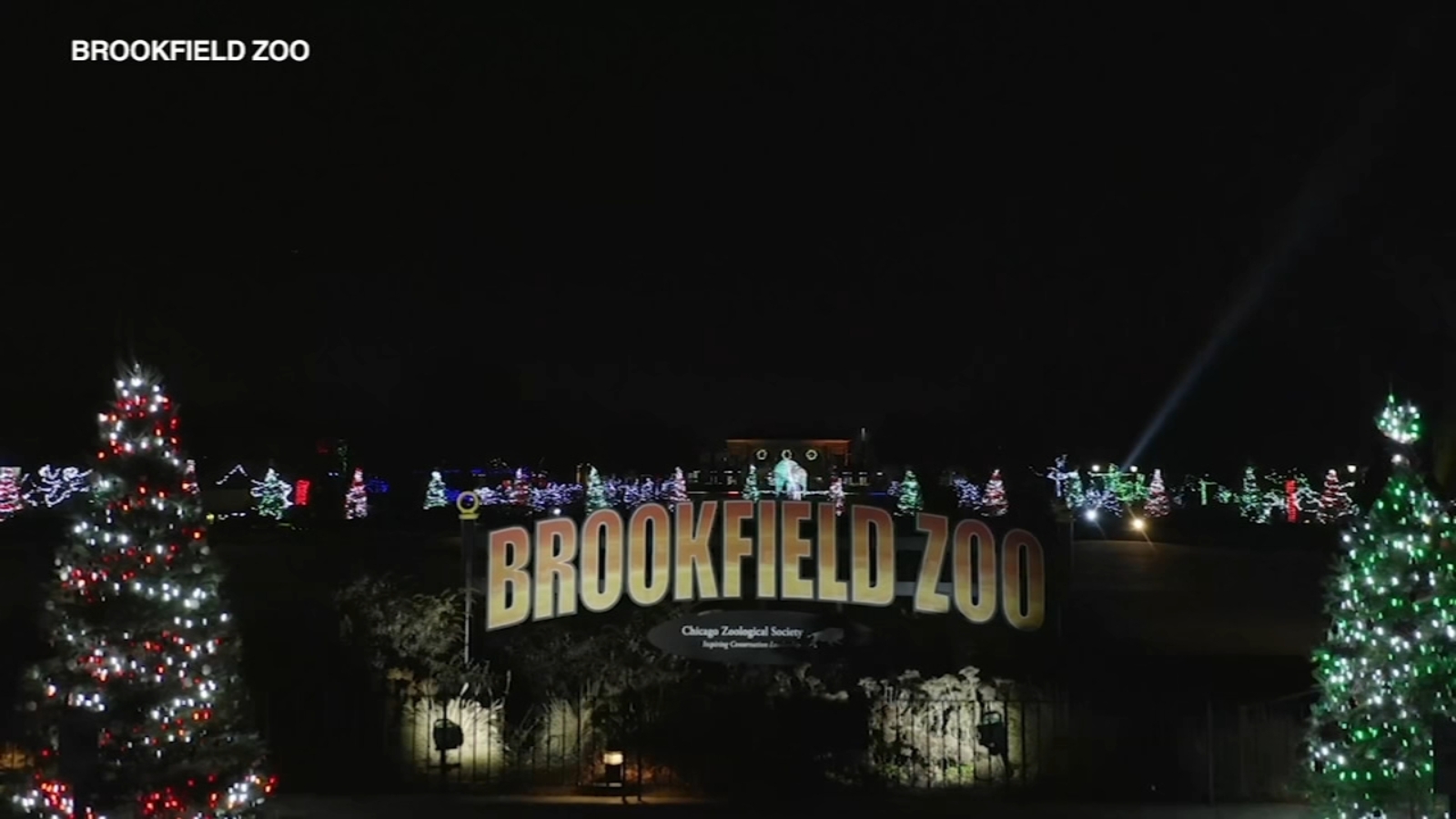 brookfield zoo holiday magic
