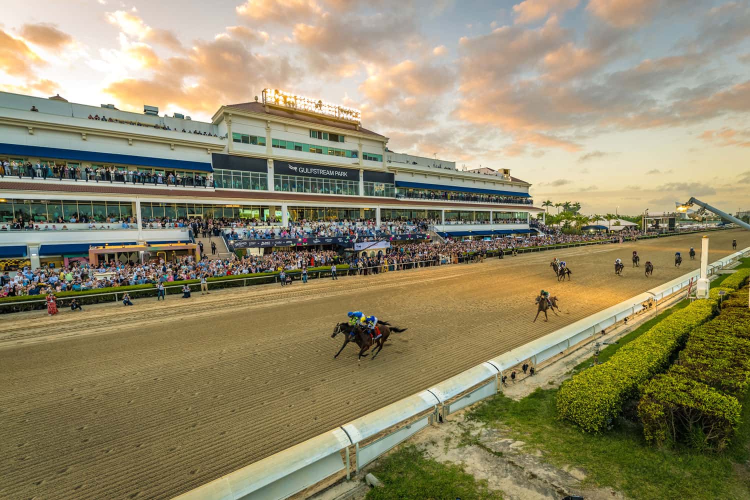 gulfstream park racing schedule